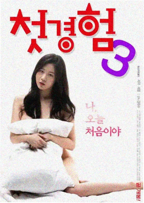 美女影院悬疑剧集雾港来信封面